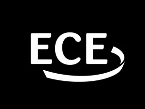 100 ECE Projects Topics for Students | Major Walter Nowotny